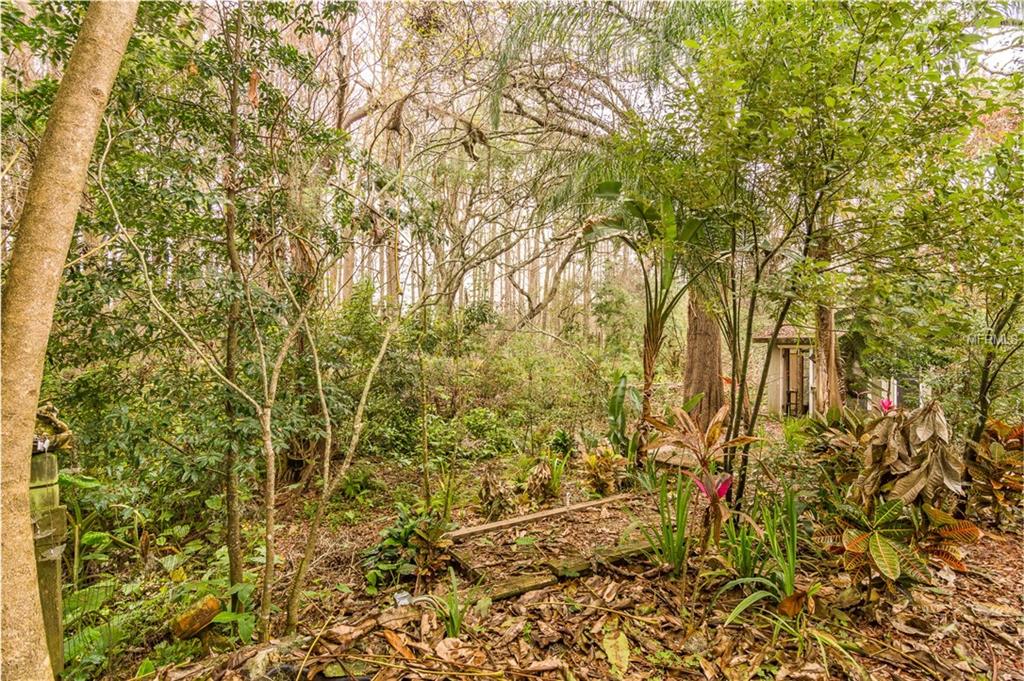 4333 CRESTWOOD BOULEVARD, NEW PORT RICHEY, Florida 34653, 3 Bedrooms Bedrooms, 6 Rooms Rooms,2 BathroomsBathrooms,Residential,For sale,CRESTWOOD,T2928446