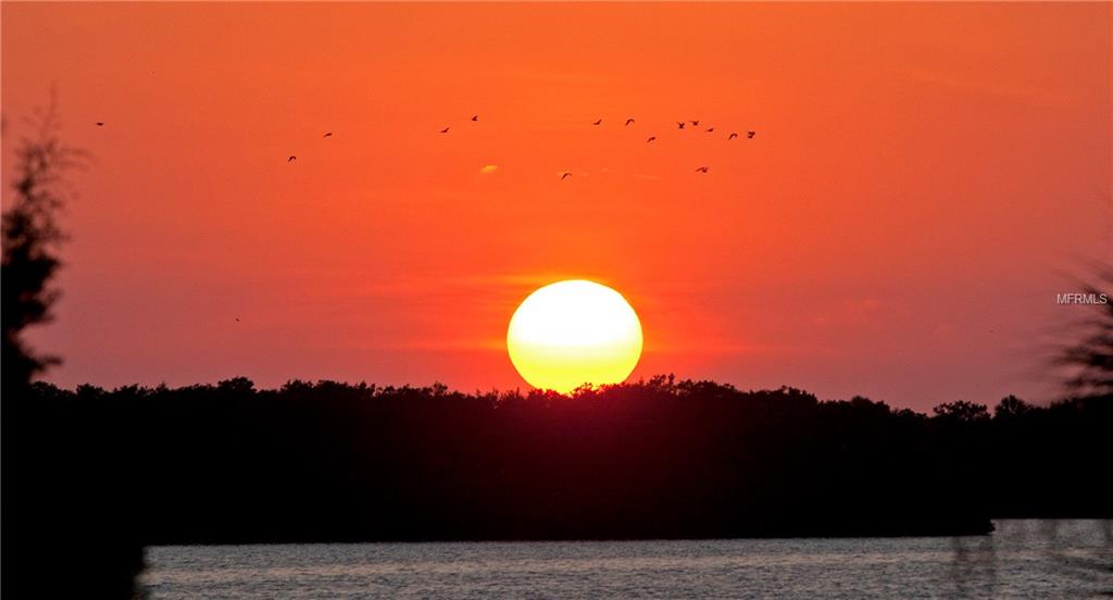 7 ISLAND PARK PLACE, DUNEDIN, Florida 34698, 3 Bedrooms Bedrooms, 5 Rooms Rooms,2 BathroomsBathrooms,Residential,For sale,ISLAND PARK,U7843360