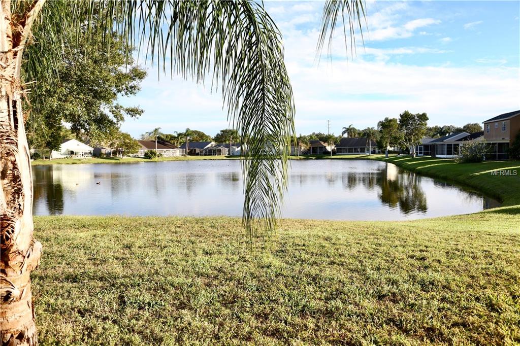 7830 HAMLET DRIVE, NEW PORT RICHEY, Florida 34653, 3 Bedrooms Bedrooms, 7 Rooms Rooms,2 BathroomsBathrooms,Residential,For sale,HAMLET,W7635500