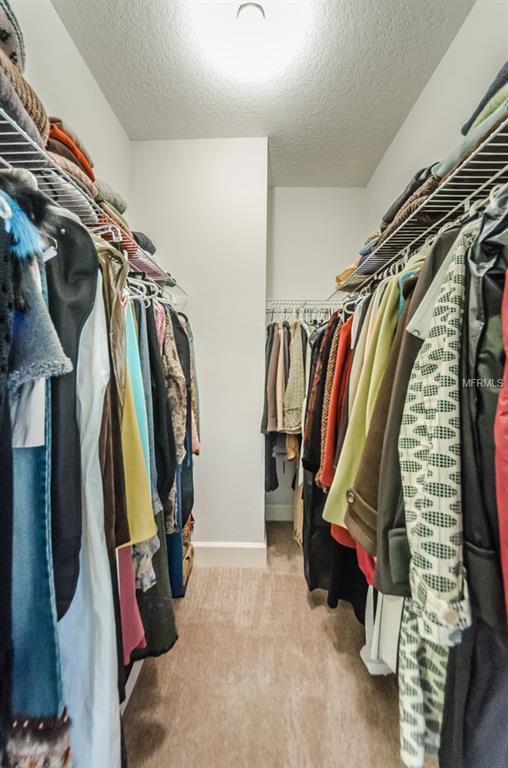 1704 ARABIAN LANE, PALM HARBOR, Florida 34685, 3 Bedrooms Bedrooms, 4 Rooms Rooms,3 BathroomsBathrooms,Residential,For sale,ARABIAN,U7840526