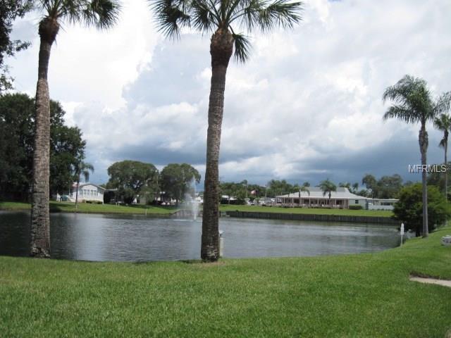 194 TIMBER RUN DRIVE, PALM HARBOR, Florida 34684, 2 Bedrooms Bedrooms, 5 Rooms Rooms,2 BathroomsBathrooms,Residential,For sale,TIMBER RUN,U7847299