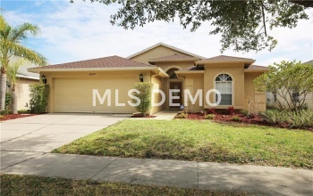 4507 WILD PLUM LANE, LUTZ, Florida 33558, 3 Bedrooms Bedrooms, 10 Rooms Rooms,2 BathroomsBathrooms,Residential,For sale,WILD PLUM,T2928451