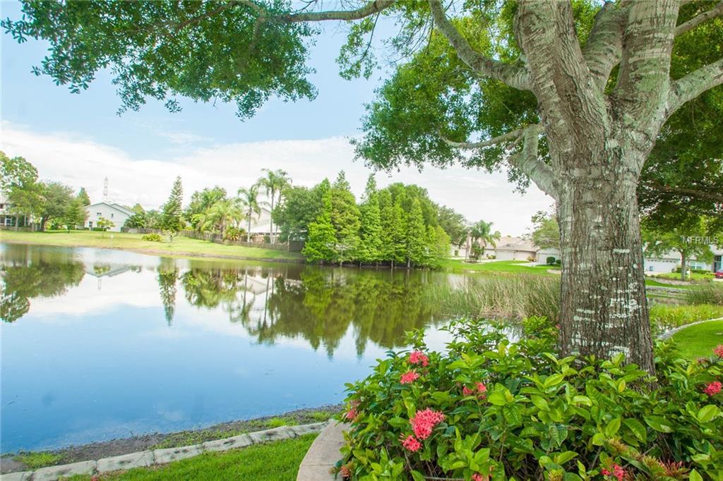 2591 NORTHFIELD LANE, CLEARWATER, Florida 33761, 3 Bedrooms Bedrooms, 3 Rooms Rooms,2 BathroomsBathrooms,Residential,For sale,NORTHFIELD,U7846743