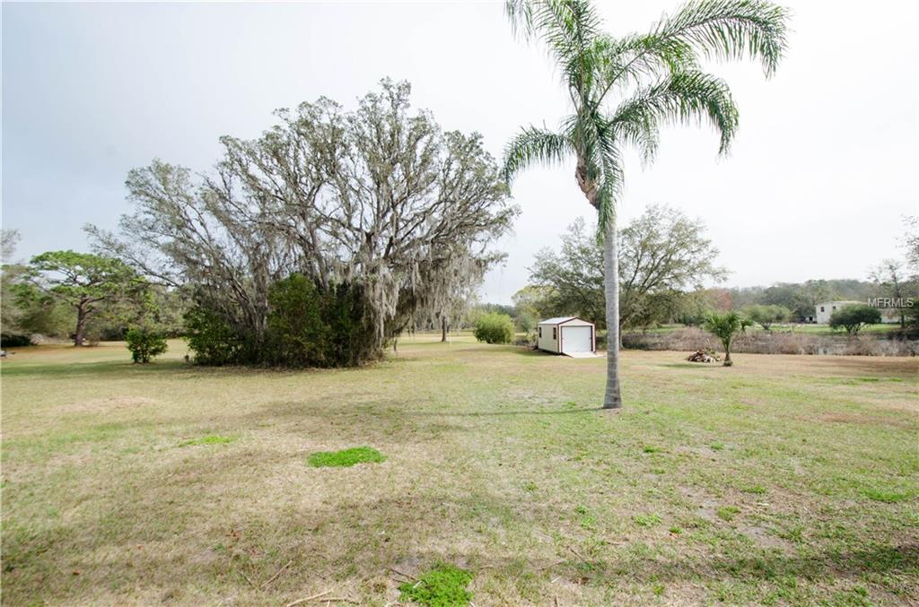 11310 PINE FOREST DRIVE, NEW PORT RICHEY, Florida 34654, 4 Bedrooms Bedrooms, 9 Rooms Rooms,3 BathroomsBathrooms,Residential,For sale,PINE FOREST,T2928206