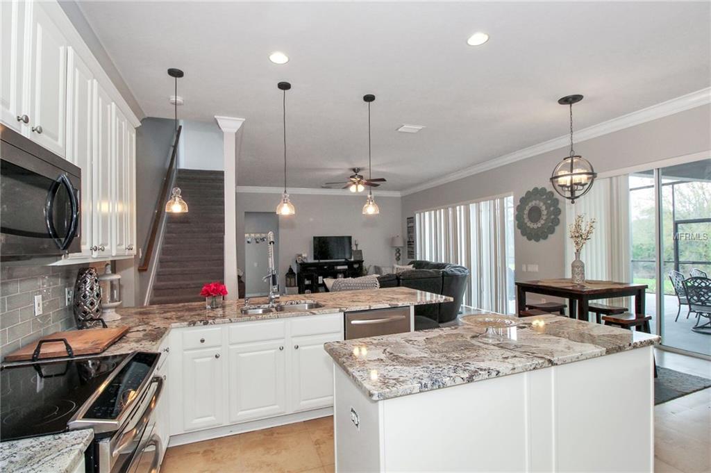 31055 EDENDALE DRIVE, WESLEY CHAPEL, Florida 33543, 4 Bedrooms Bedrooms, 5 Rooms Rooms,3 BathroomsBathrooms,Residential,For sale,EDENDALE,T2928580