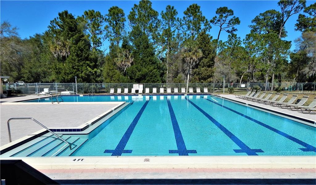 455 LAKEVIEW DRIVE, PALM HARBOR, Florida 34683, 4 Bedrooms Bedrooms, 9 Rooms Rooms,2 BathroomsBathrooms,Residential,For sale,LAKEVIEW,U7846141