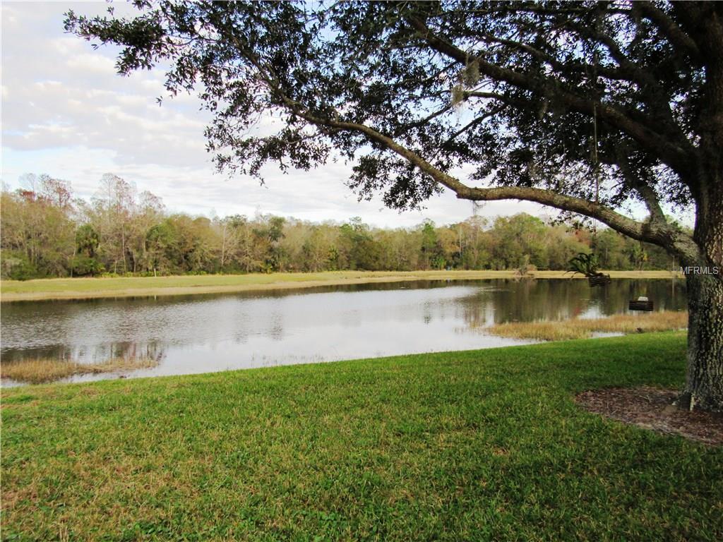 19145 WHITE WING PLACE, TAMPA, Florida 33647, 2 Bedrooms Bedrooms, 3 Rooms Rooms,2 BathroomsBathrooms,Residential,For sale,WHITE WING,T2928208