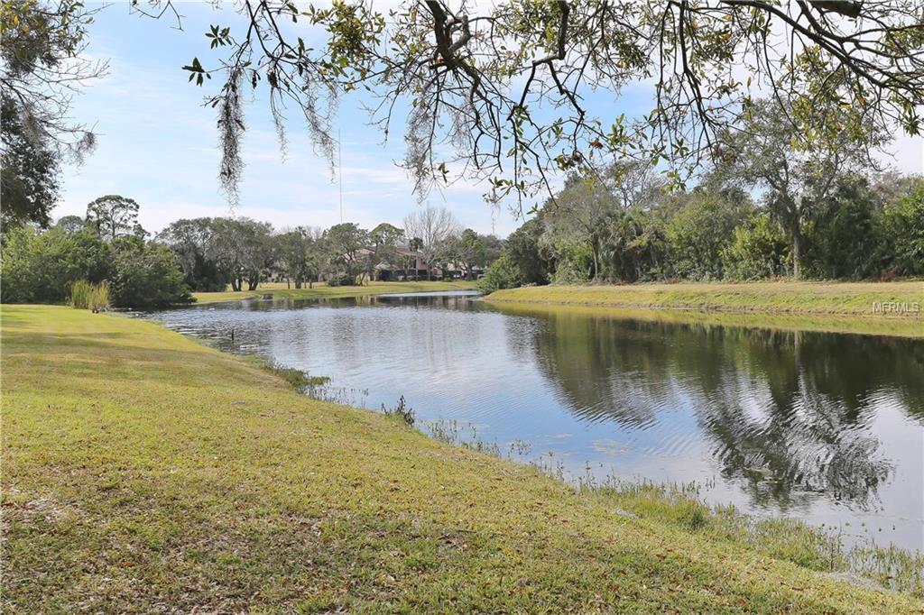 8888 95TH STREET, SEMINOLE, Florida 33777, 3 Bedrooms Bedrooms, 6 Rooms Rooms,2 BathroomsBathrooms,Residential,For sale,95TH,U7847469