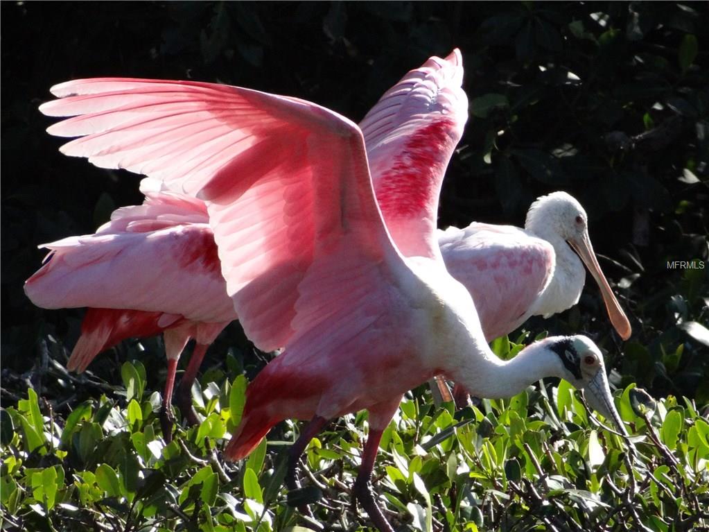 1808 82ND STREET NW, BRADENTON, Florida 34209, 4 Bedrooms Bedrooms, 10 Rooms Rooms,3 BathroomsBathrooms,Residential,For sale,82ND,A4199055