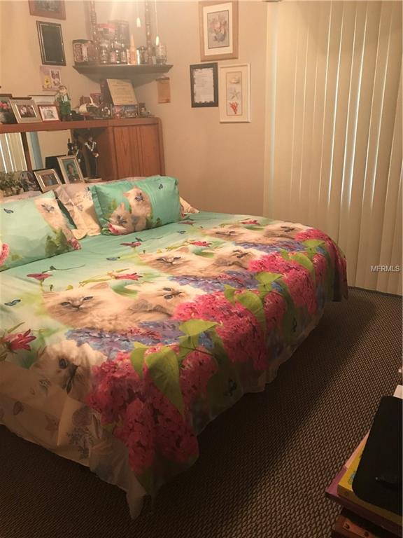 10302 BLUE FIELD COURT, THONOTOSASSA, Florida 33592, 2 Bedrooms Bedrooms, 6 Rooms Rooms,1 BathroomBathrooms,Residential,For sale,BLUE FIELD,T2928339