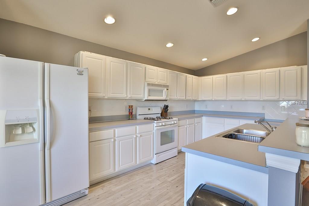 6838 MONARCH PARK DRIVE, APOLLO BEACH, Florida 33572, 4 Bedrooms Bedrooms, 3 Rooms Rooms,2 BathroomsBathrooms,Residential,For sale,MONARCH PARK,T2923975