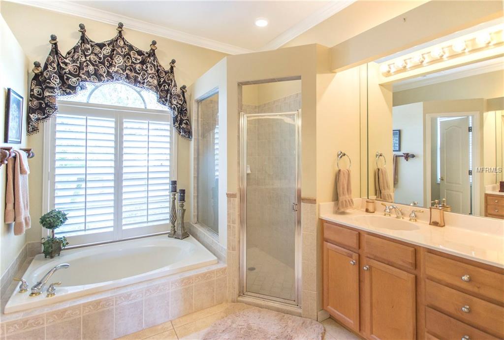 10211 WATERSIDE OAKS DRIVE, TAMPA, Florida 33647, 5 Bedrooms Bedrooms, 9 Rooms Rooms,4 BathroomsBathrooms,Residential,For sale,WATERSIDE OAKS,T2928211