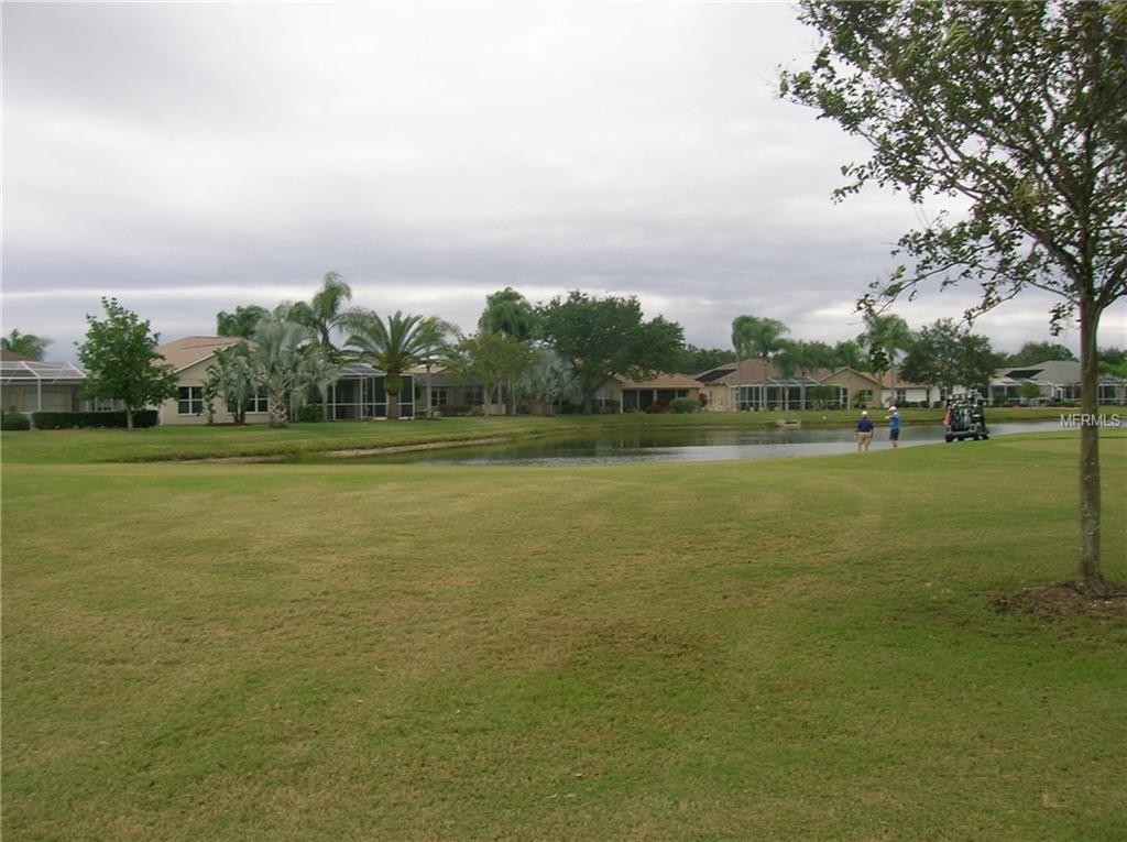 1019 FLORA VISTA STREET, TRINITY, Florida 34655, 2 Bedrooms Bedrooms, 7 Rooms Rooms,2 BathroomsBathrooms,Residential,For sale,FLORA VISTA,W7635513