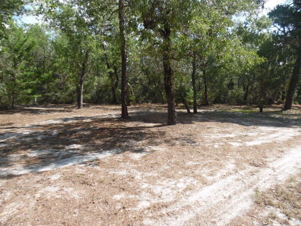 10525 BRAVE LANE, HUDSON, Florida 34667, 7 Bedrooms Bedrooms, 3 Rooms Rooms,5 BathroomsBathrooms,Residential,For sale,BRAVE,W7632923