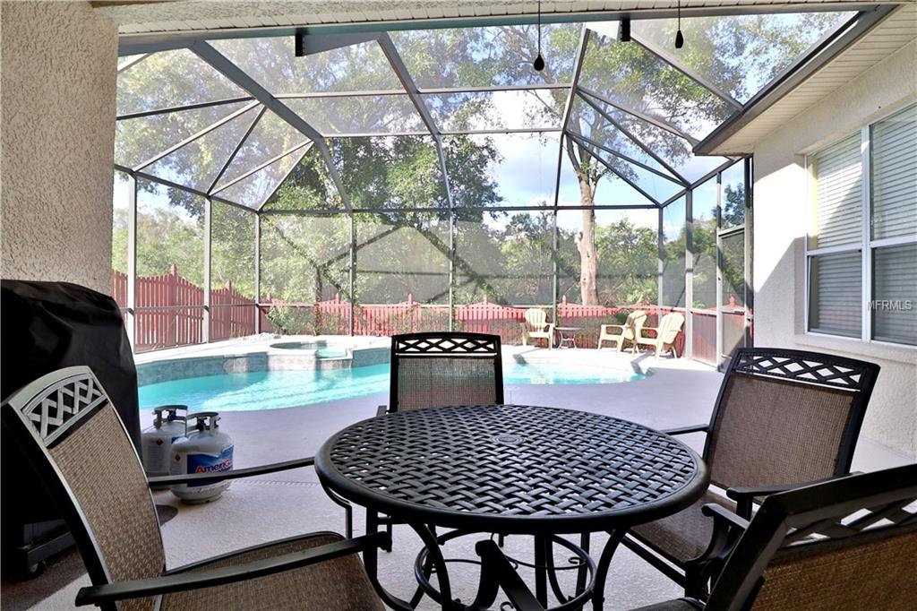 5433 WINHAWK WAY, LUTZ, Florida 33558, 4 Bedrooms Bedrooms, 10 Rooms Rooms,3 BathroomsBathrooms,Residential,For sale,WINHAWK,T2918800