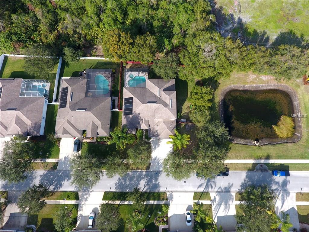 5433 WINHAWK WAY, LUTZ, Florida 33558, 4 Bedrooms Bedrooms, 10 Rooms Rooms,3 BathroomsBathrooms,Residential,For sale,WINHAWK,T2918800