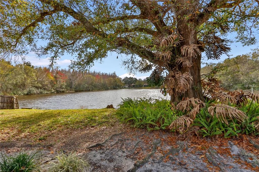 5358 BLACK PINE DRIVE, TAMPA, Florida 33624, 3 Bedrooms Bedrooms, 7 Rooms Rooms,2 BathroomsBathrooms,Residential,For sale,BLACK PINE,T2928214