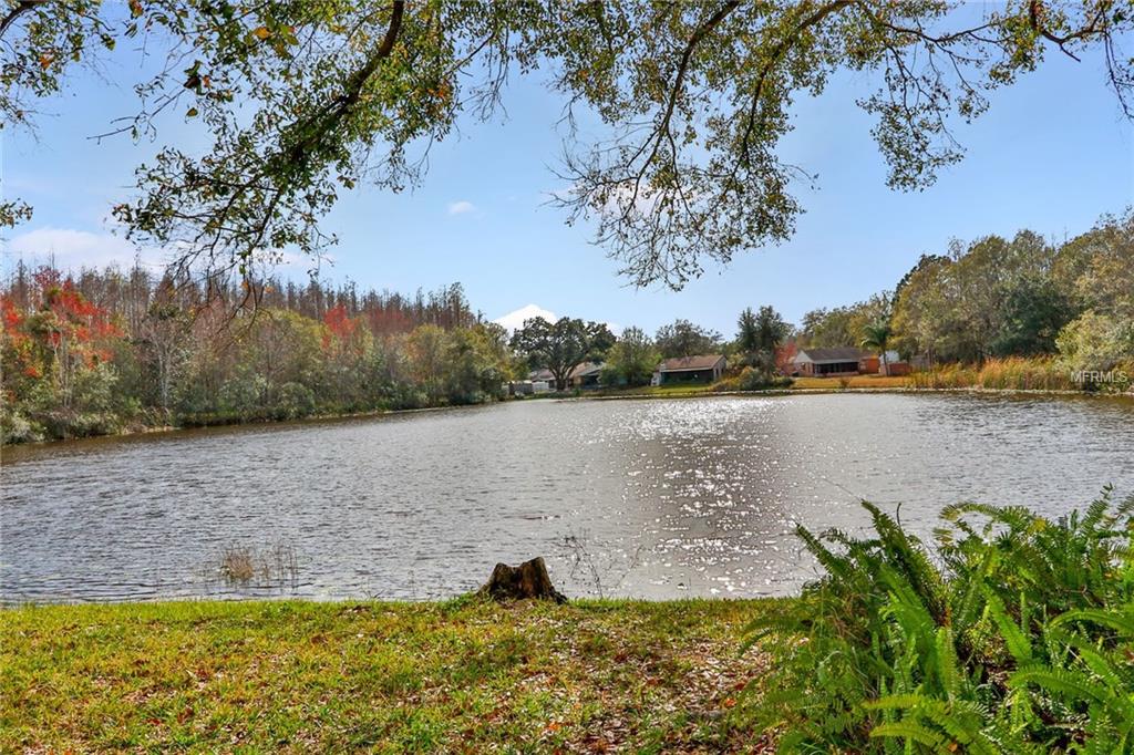 5358 BLACK PINE DRIVE, TAMPA, Florida 33624, 3 Bedrooms Bedrooms, 7 Rooms Rooms,2 BathroomsBathrooms,Residential,For sale,BLACK PINE,T2928214