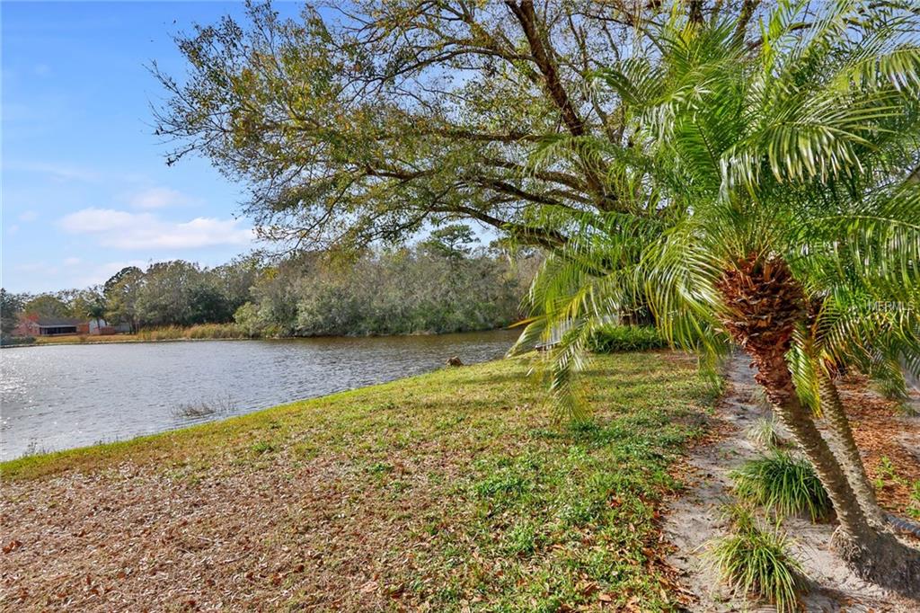 5358 BLACK PINE DRIVE, TAMPA, Florida 33624, 3 Bedrooms Bedrooms, 7 Rooms Rooms,2 BathroomsBathrooms,Residential,For sale,BLACK PINE,T2928214